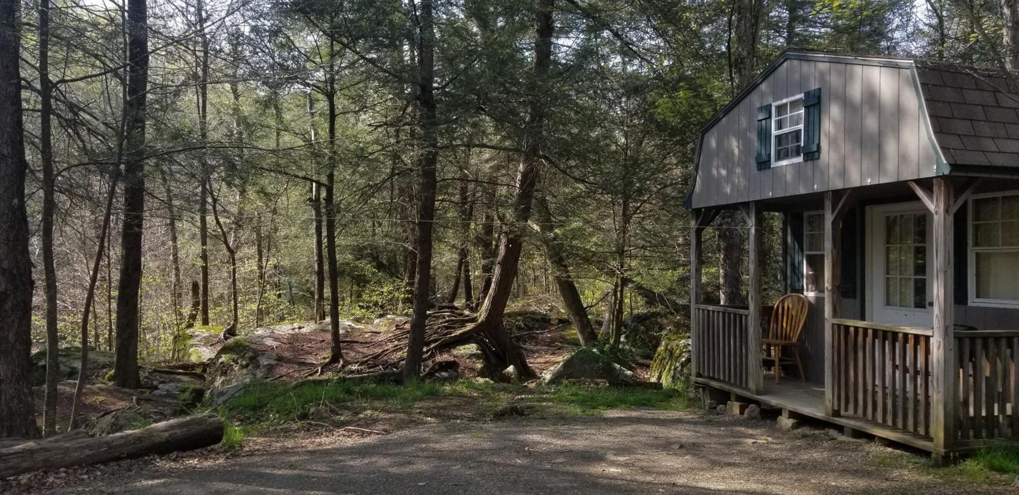 Abrams Creek Campground Mount Storm Luaran gambar