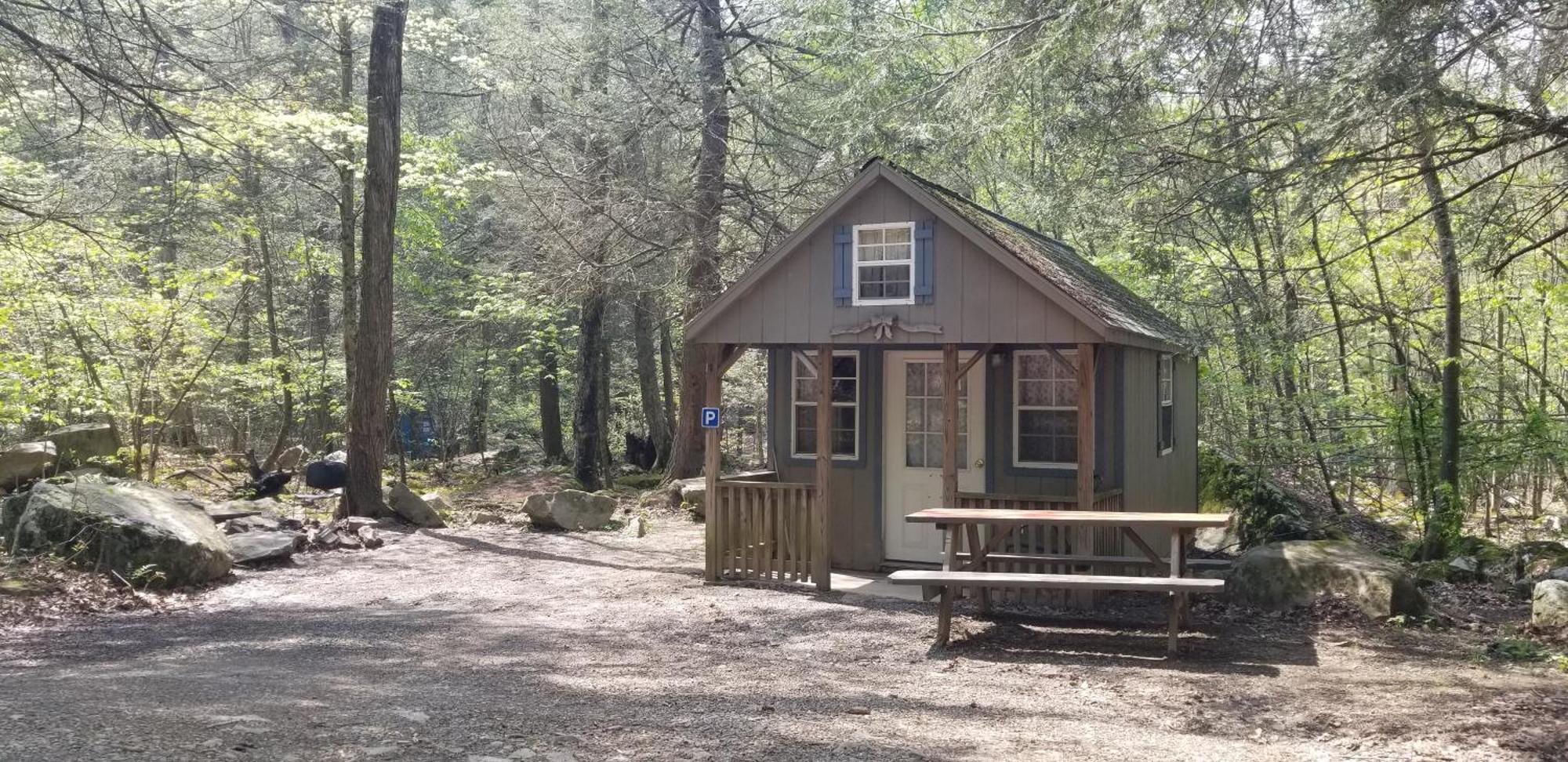 Abrams Creek Campground Mount Storm Luaran gambar