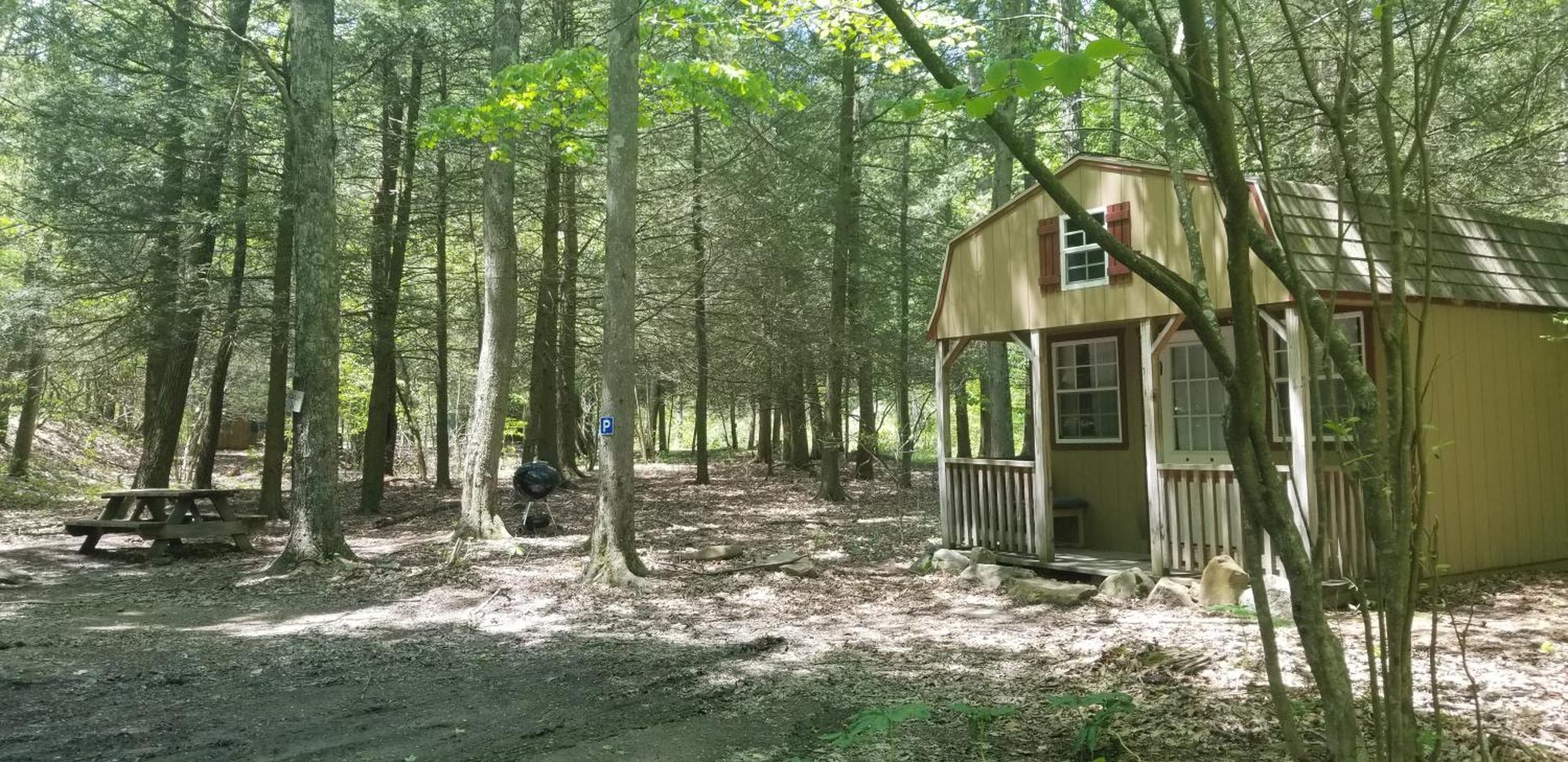 Abrams Creek Campground Mount Storm Luaran gambar