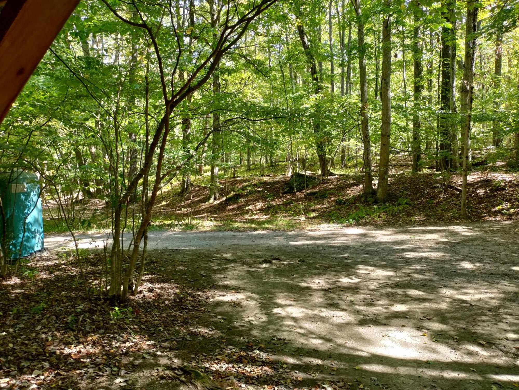 Abrams Creek Campground Mount Storm Luaran gambar