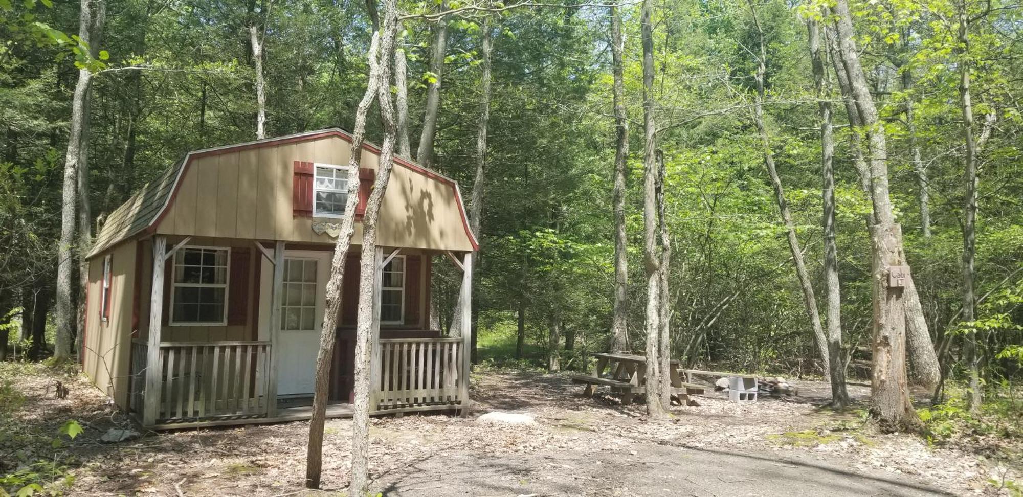 Abrams Creek Campground Mount Storm Luaran gambar