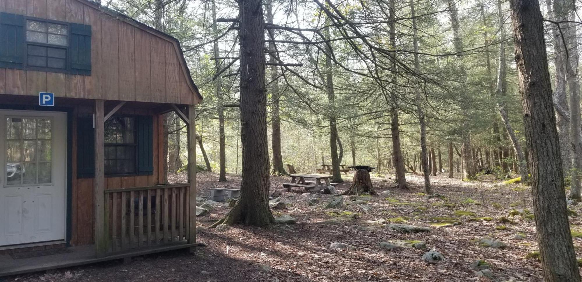 Abrams Creek Campground Mount Storm Luaran gambar