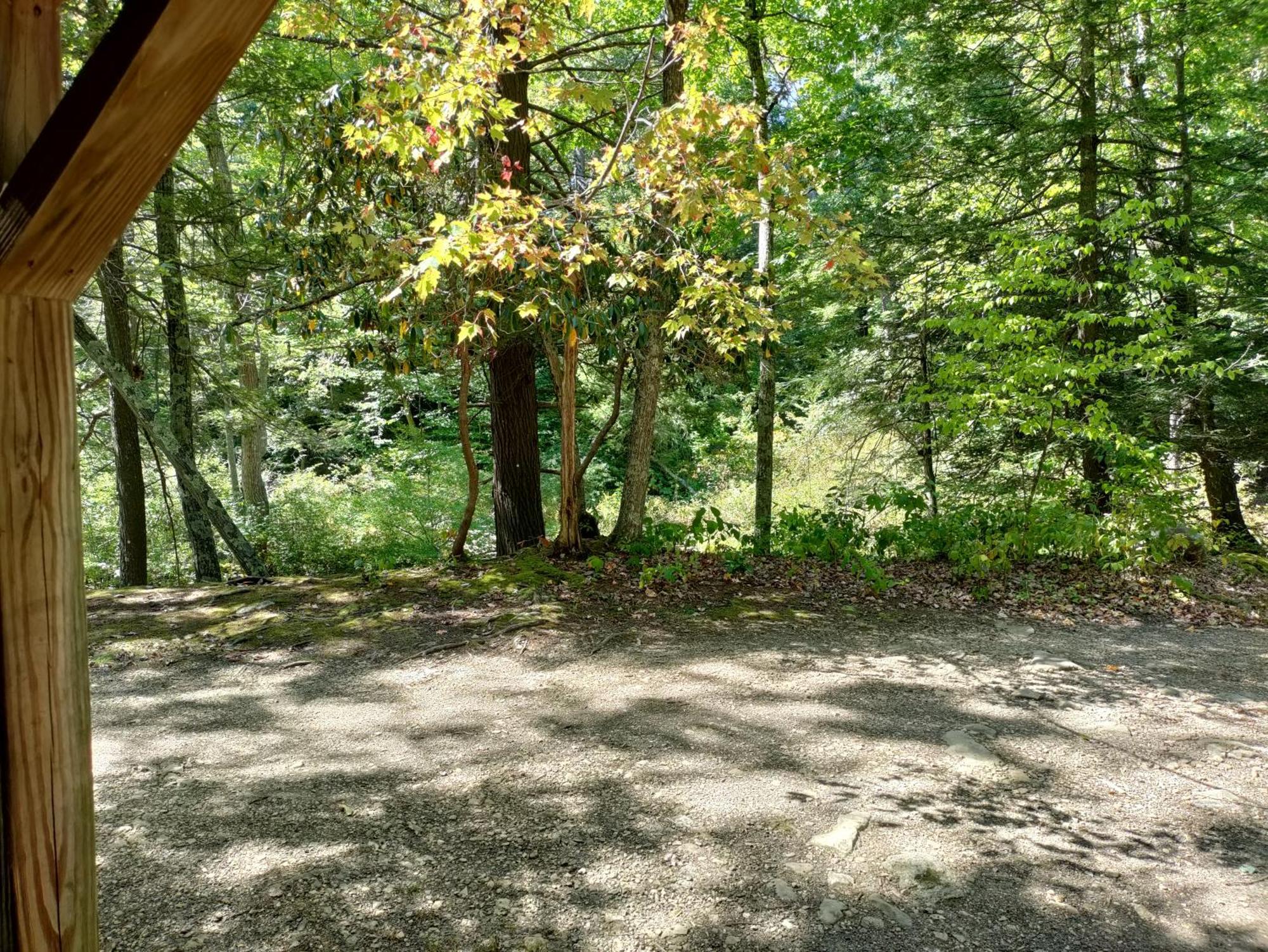 Abrams Creek Campground Mount Storm Luaran gambar