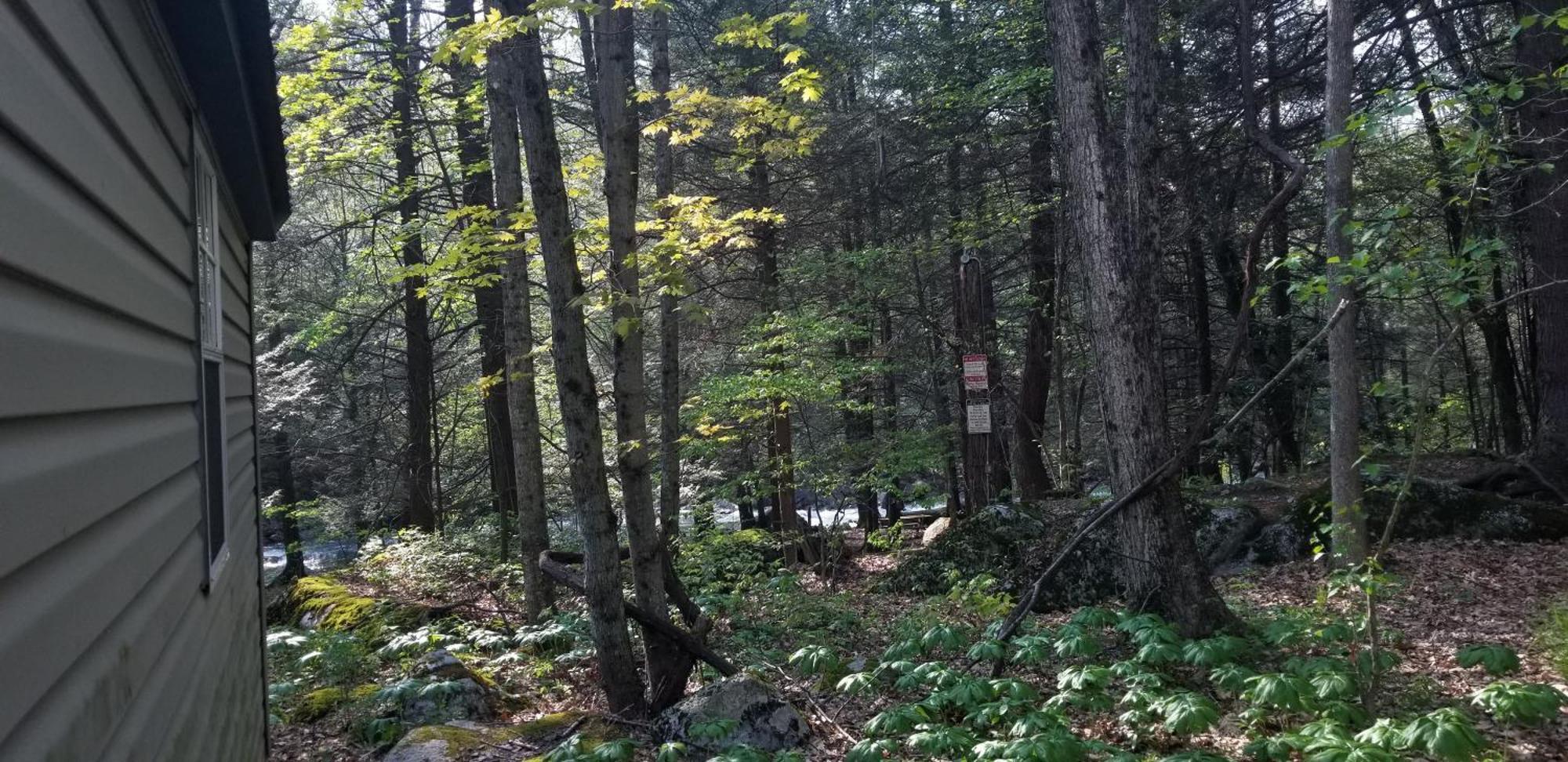 Abrams Creek Campground Mount Storm Luaran gambar