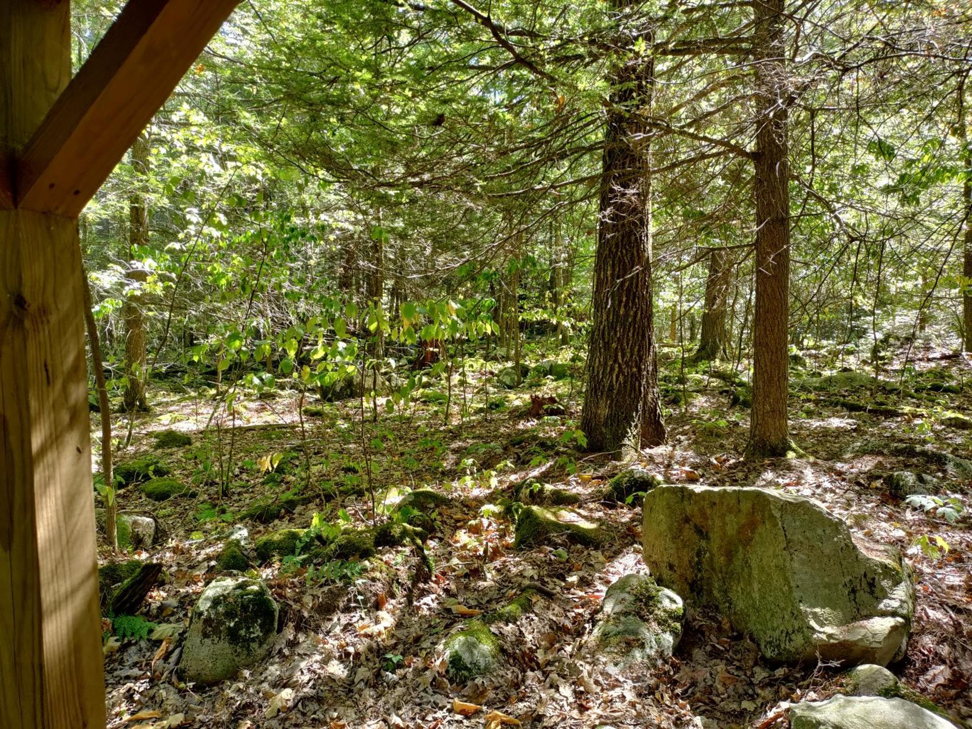 Abrams Creek Campground Mount Storm Luaran gambar