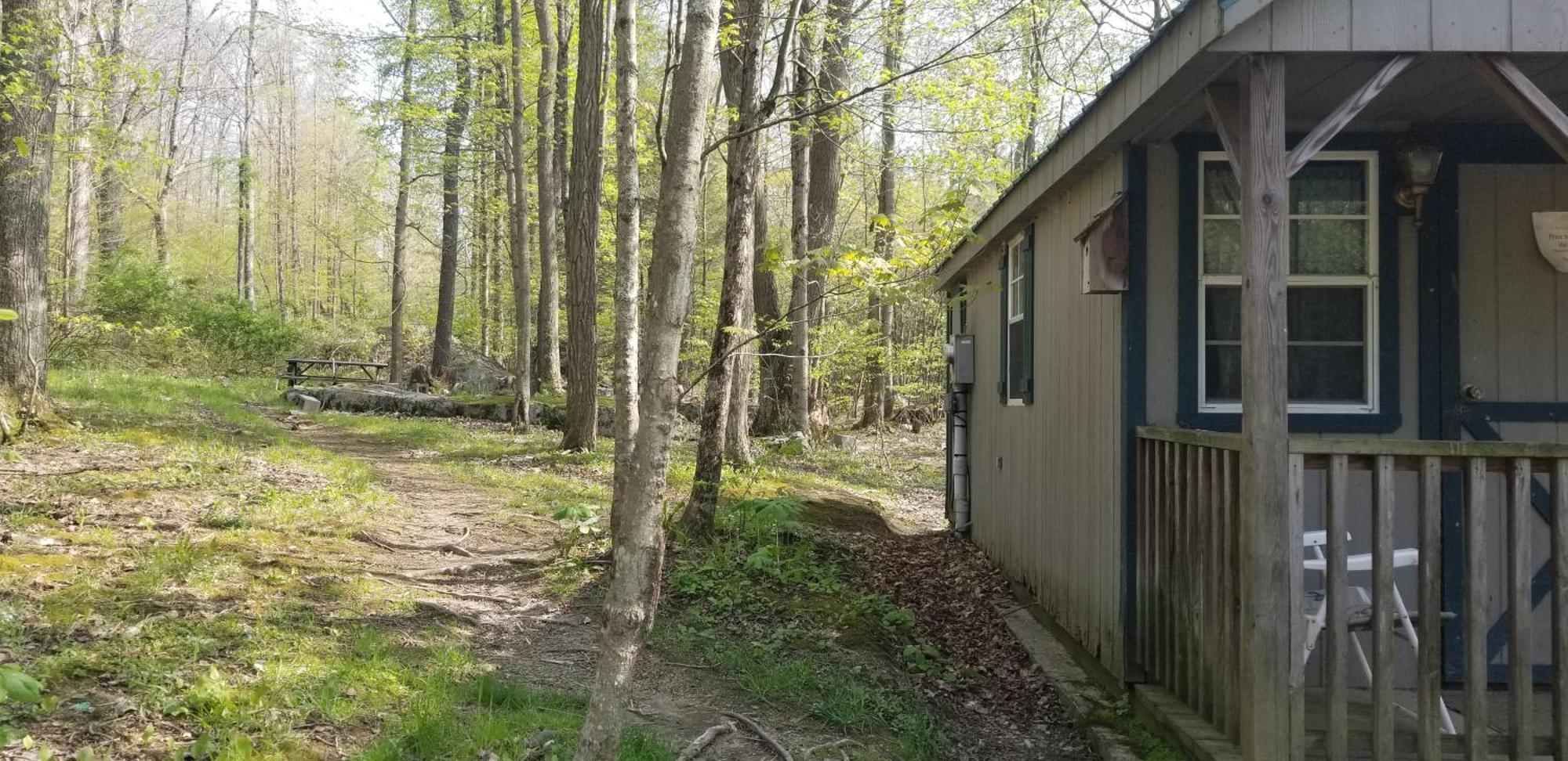 Abrams Creek Campground Mount Storm Luaran gambar