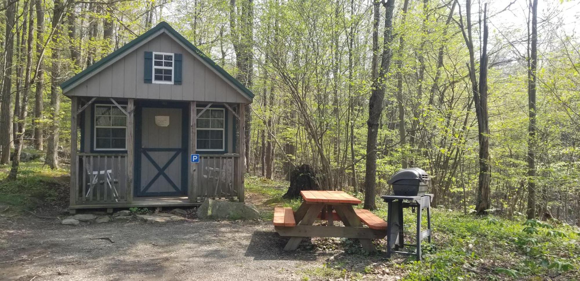 Abrams Creek Campground Mount Storm Luaran gambar