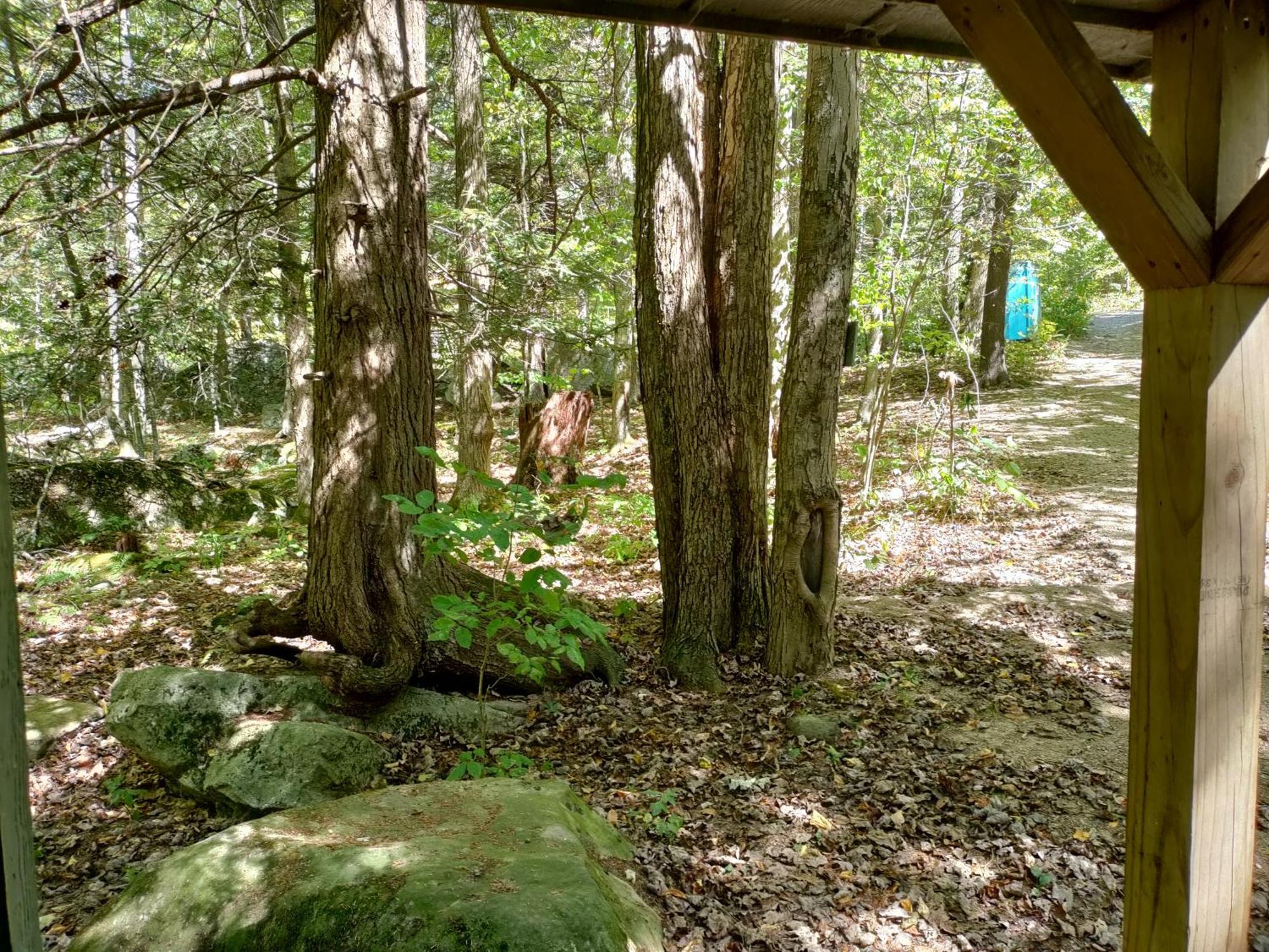 Abrams Creek Campground Mount Storm Luaran gambar